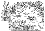 coloriage cygne dans lac
